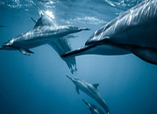 app下载-NBA-伦纳德空砍25+8墨菲23分 快船不敌鹈鹕